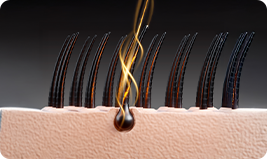 A Denser-Looking Hairline